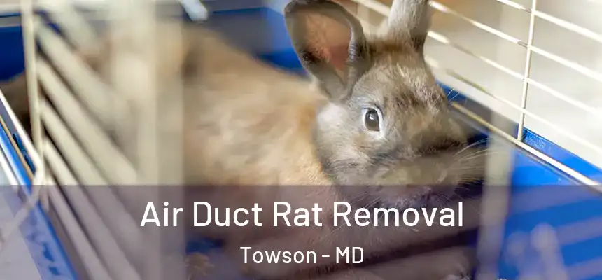  Air Duct Rat Removal Towson - MD