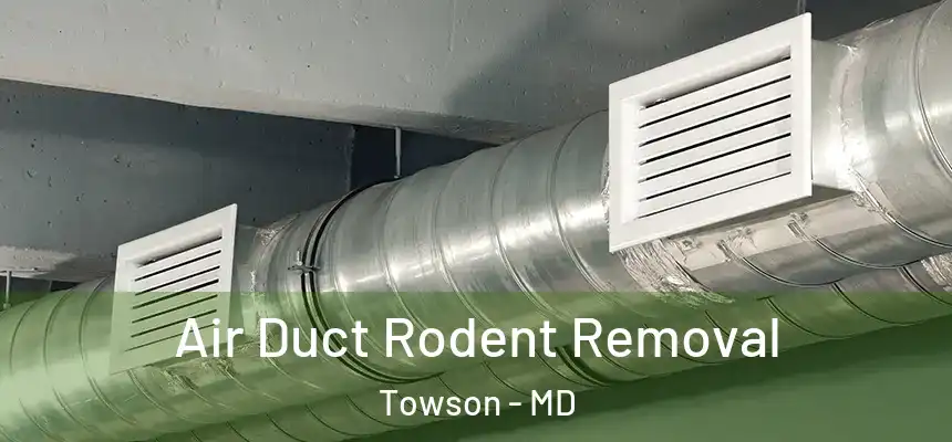  Air Duct Rodent Removal Towson - MD