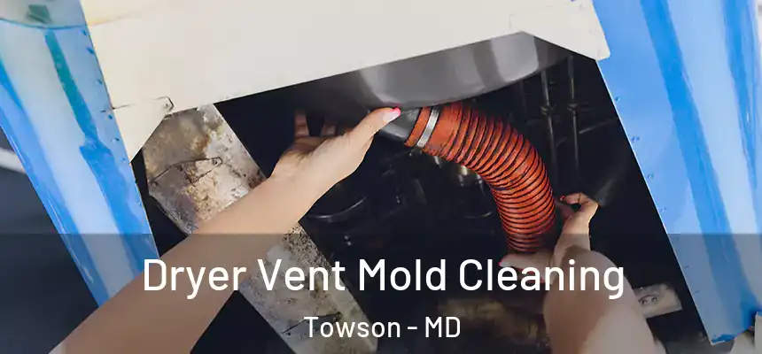 Dryer Vent Mold Cleaning Towson - MD