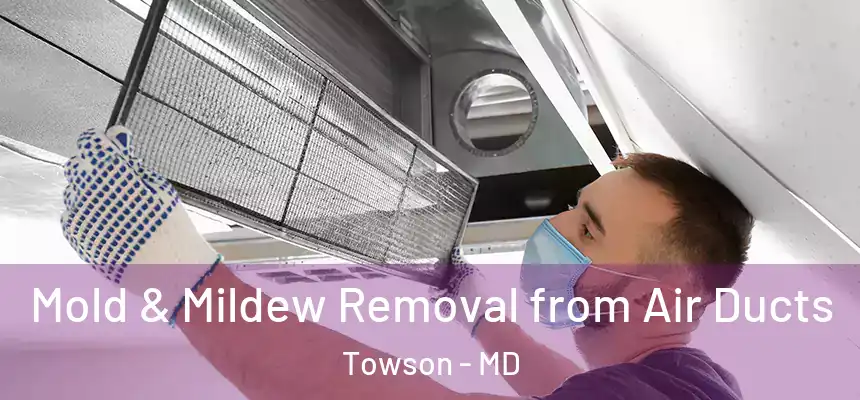  Mold & Mildew Removal from Air Ducts Towson - MD