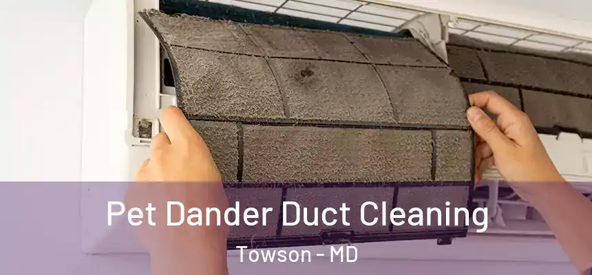 Pet Dander Duct Cleaning Towson - MD