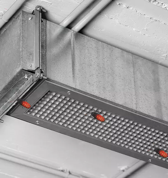 Affordable Insect Removal from Air Ducts in Towson, MD