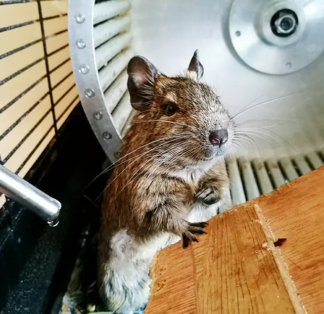 Why Homeowners & Businesses Trust Us Towson, MD