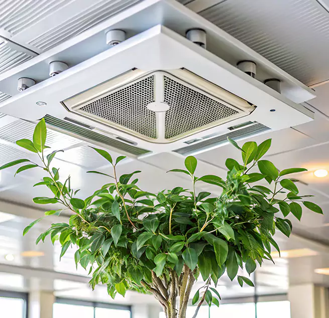 Why Homeowners & Businesses Trust Us in Towson, MD?